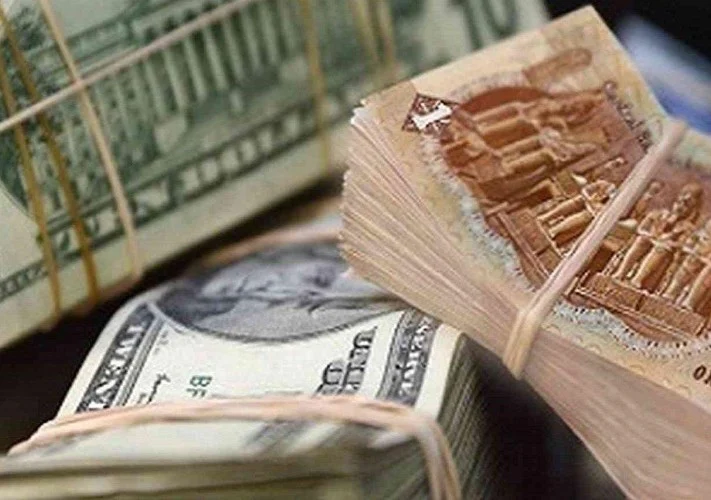 «أقساط ورسوم».. مدفوعات مصر إلى صندوق النقد الدولي تتراجع خلال العام المالي الحالي