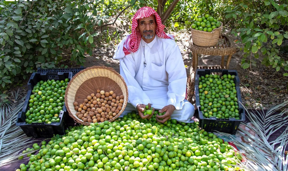 اللومي الحساوي.. موروث زراعي يعزز حضوره في الأسواق المحلية والخليجية
