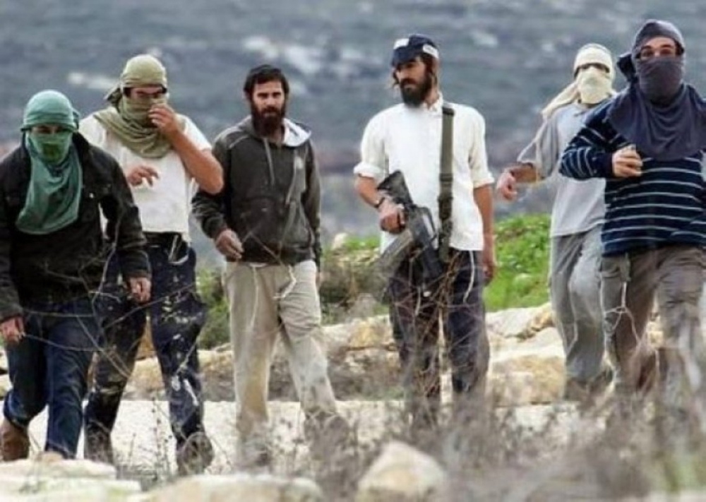 البرلمان العربي يدين إرهاب المستوطنين في بلدة قصرة الفلسطينية