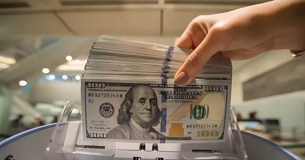 سعر الدولار مقابل الجنيه اليوم الثلاثاء.. استقرار في البنوك المصرية