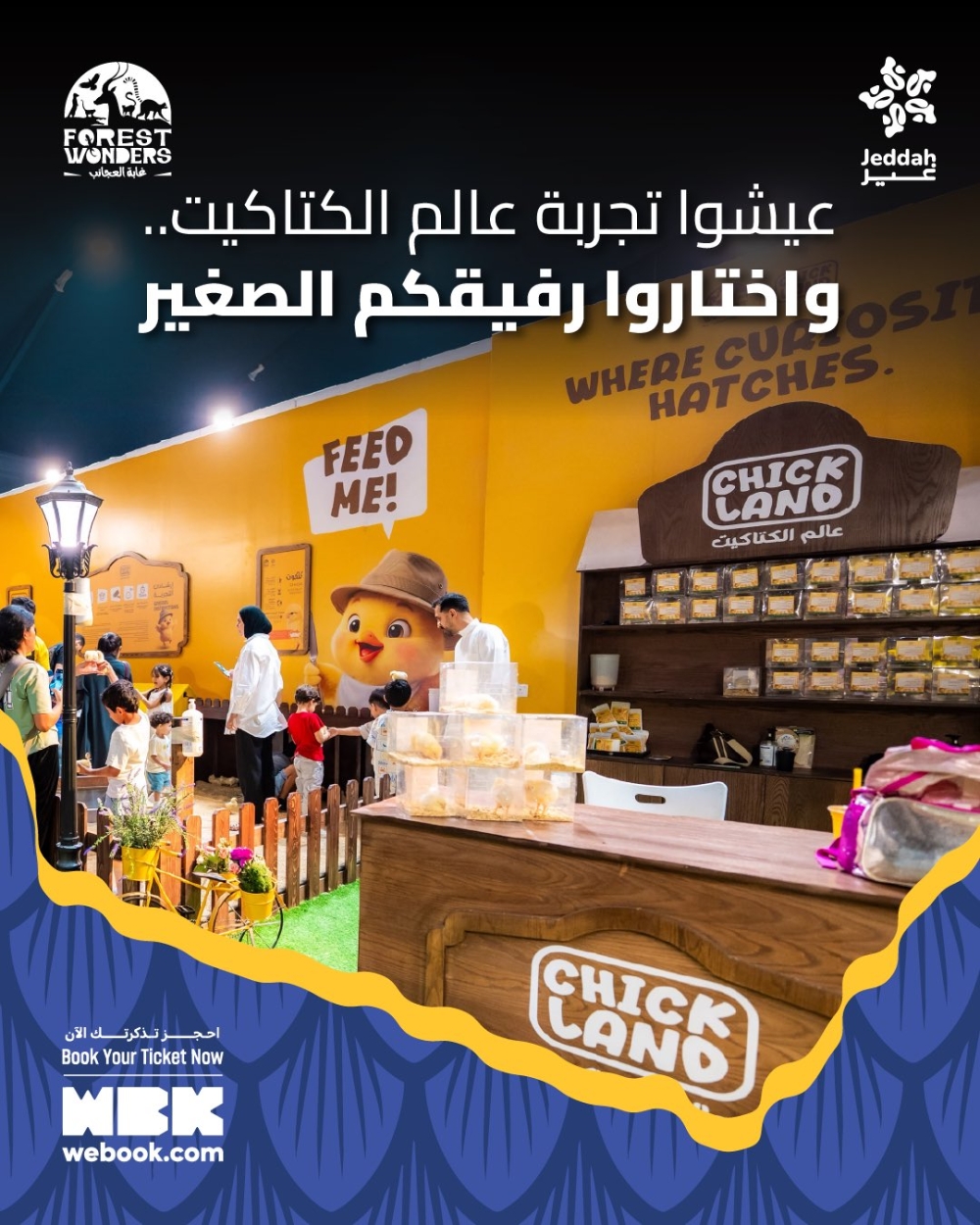 عالم الكتاكيت.. خطوات صغيرة.. ولحظات ألطف في غابة العجائب