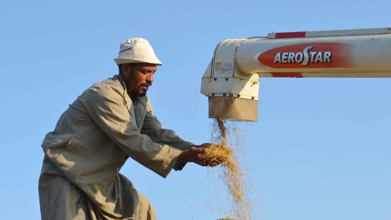 سعر طن الأرز الشعير والأبيض اليوم الاثنين 17-8-2026