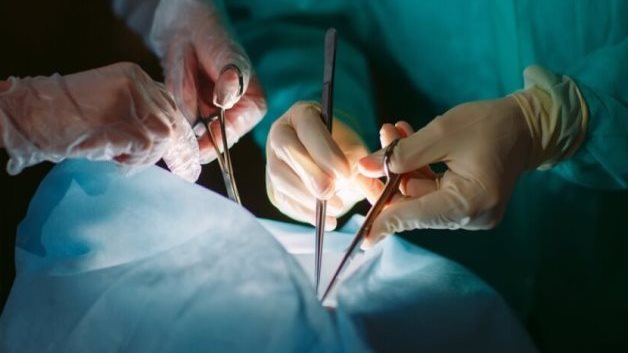 غرامة مليون جنيه لهؤلاء بقانون تنظيم زرع الأعضاء البشرية