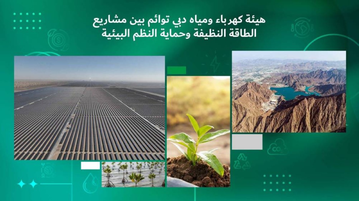 كهرباء دبي تواصل مشاريع الطاقة النظيفة لتحقيق أهداف الاستدامة مع حلول 2050