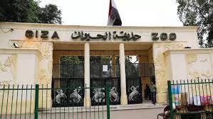 العد التنازلي بدأ.. مفاجآت بالجملة قبل افتتاح حديقة الحيوان بالجيزة