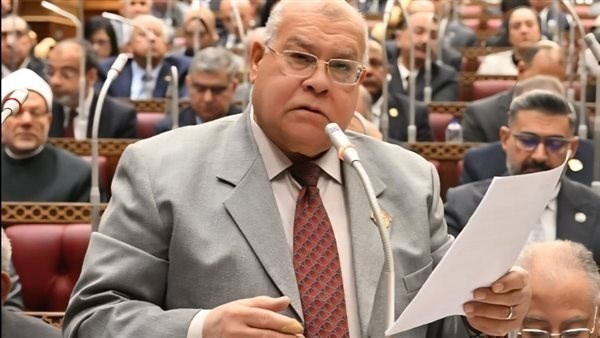 نائب: هناك اتجاه لدعم الصناعة الوطنية وفتح آفاق جديدة لتوفير فرص عمل