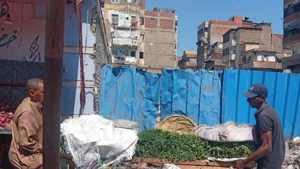 حملات مكثفة وتحركات بأحياء بورسعيد وبورفؤاد.. تشجير واستجابة سريعة للشكاوى