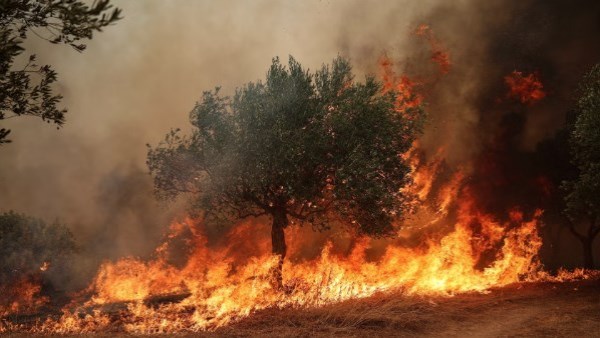 مقتل شخصين وإصابة آخرين بجروح في حريق غابات في سلاميس باليونان