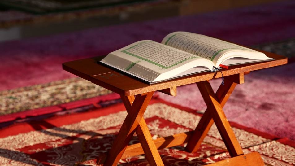 أعمال مستحبة في شهر ربيع الأول.. علي جمعة يكشف عنها