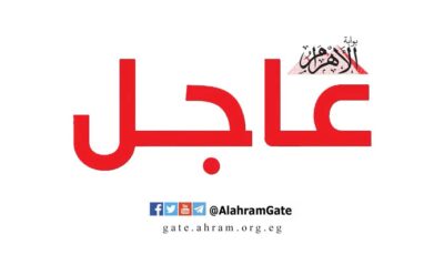 الرئيس السيسي يُشدد على الالتزام بالتنفيذ الصارم للقوانين باستغلال الأراضي المخصصة للأنشطة السياحية