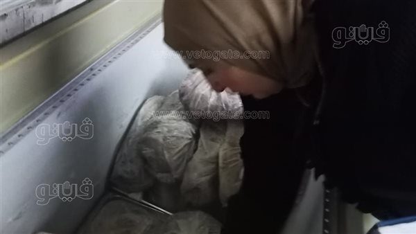 تموين بورسعيد يضبط 49.5 كيلو فراخ مجهولة المصدر
