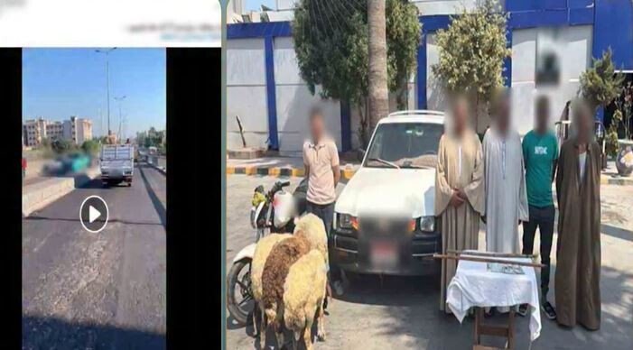 بعد انتشار الفيديو.. كشف ملابسات مطاردة شخص لسيارة في الإسكندرية – الأسبوع