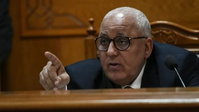 قرار جديد من «الجنايات» ضد المتهمين في خلية لجان الدعم المالي – الأسبوع