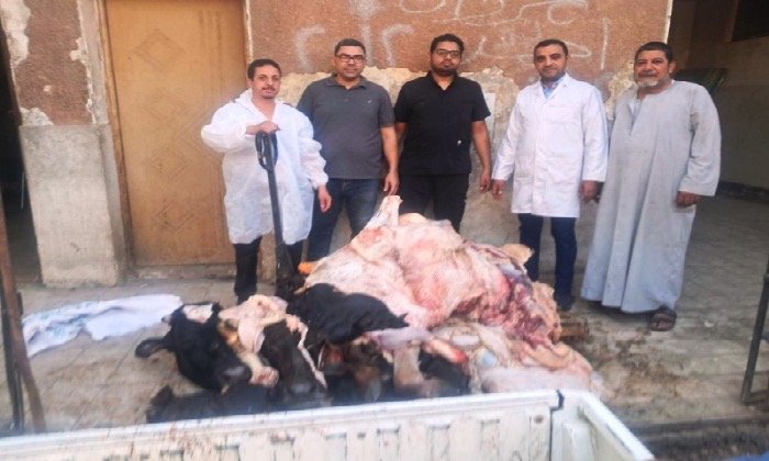 ضبط طن لحوم غير صالحة للاستهلاك الآدمي بسوق الهجارسة بالكوامل في سوهاج – الأسبوع