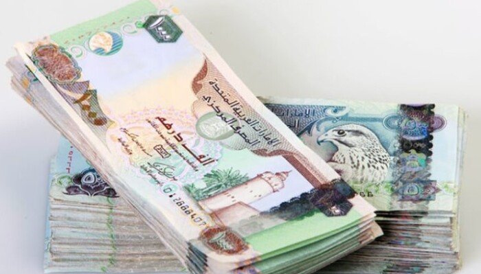 سعر الدرهم الإماراتي مقابل الجنيه المصري اليوم الخميس 13 أغسطس 2026 – الأسبوع