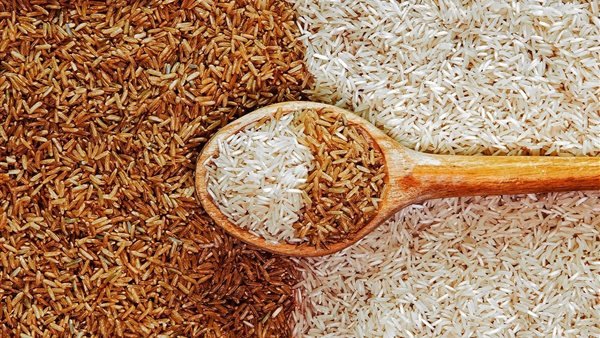سعر الأرز الشعير اليوم الأحد 16 أغسطس 2026 – الأسبوع
