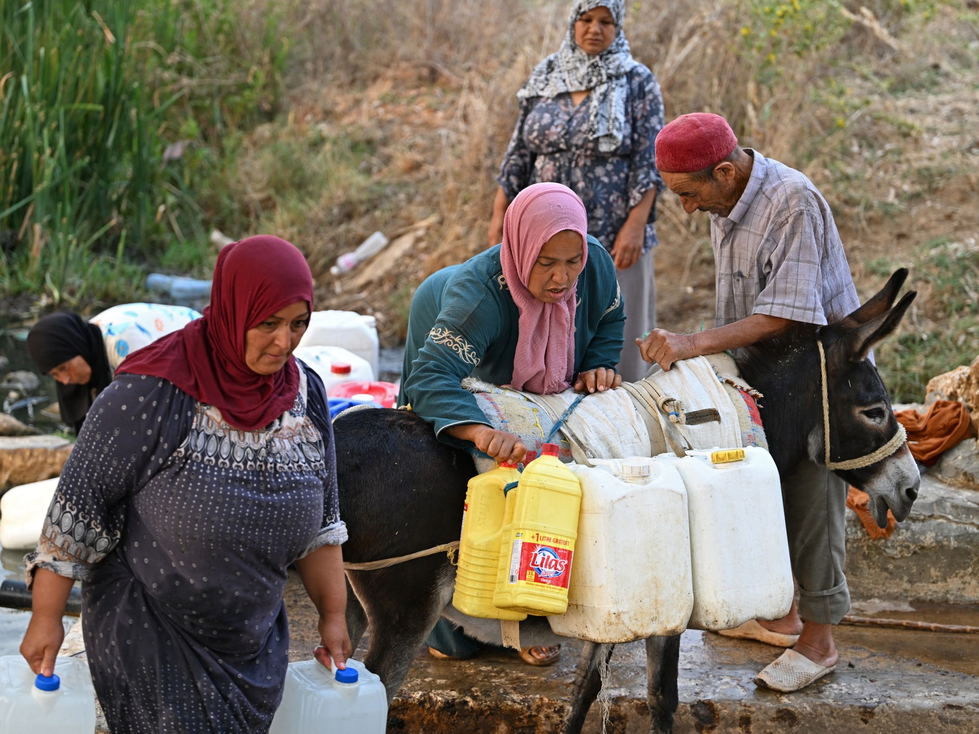 حقوق المرأة في تونس.. هل تخفي “نسوية الدولة” واقعا مختلفا؟