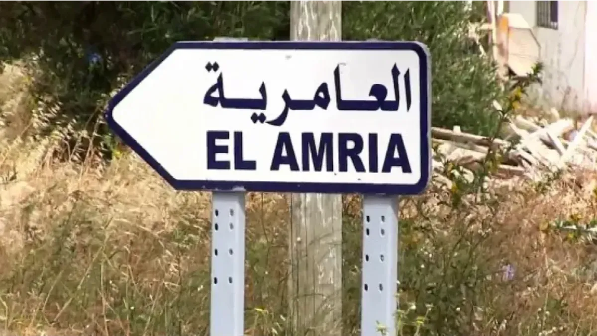 عبارة للقذافي تطيح برئيس بلدية العامرية في عين تيموشنت