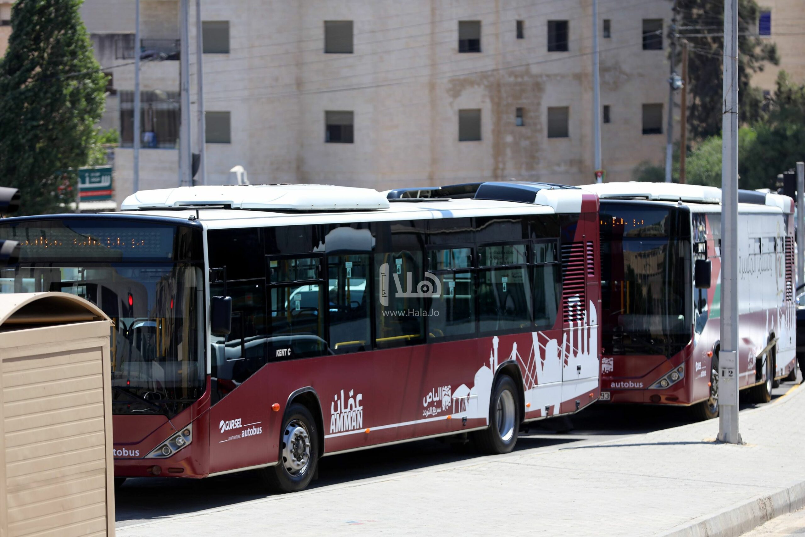 20 حافلة جديدة لتعزيز خطوط الباص سريع التردد وسط مطالب بمعالجة الاكتظاظ