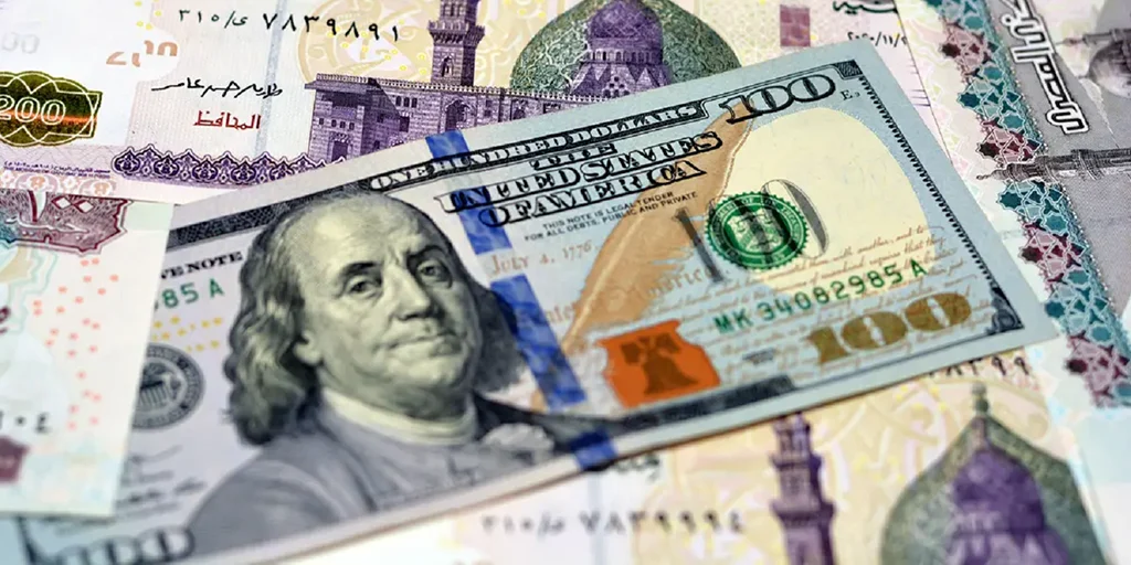 سعر الدولار اليوم الثلاثاء 11-8-2026 أمام الجنيه في ختام التعاملات -جريدة المال